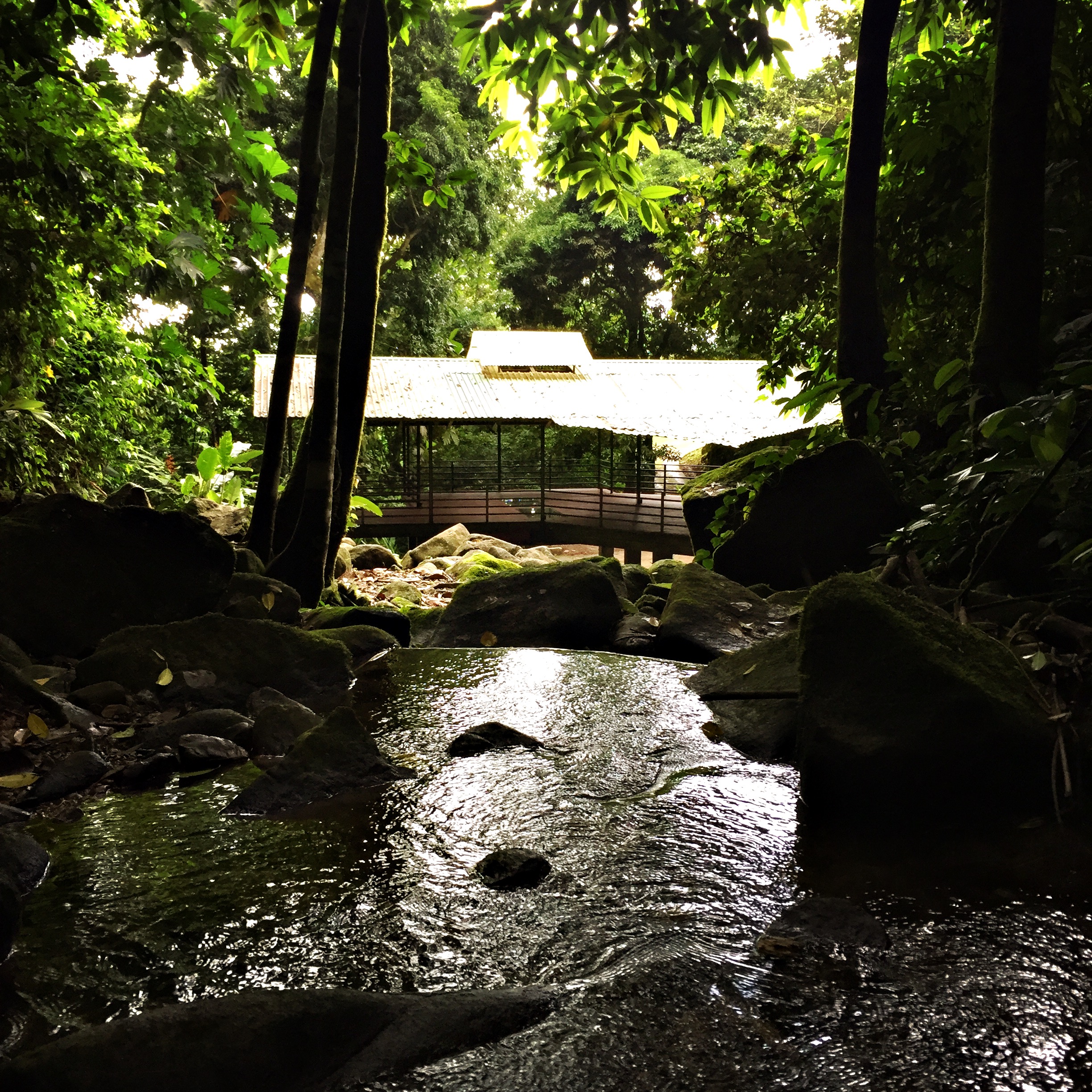 El Manu ::: Water Temple