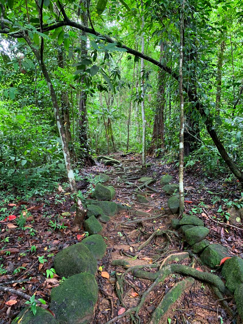 Hiking