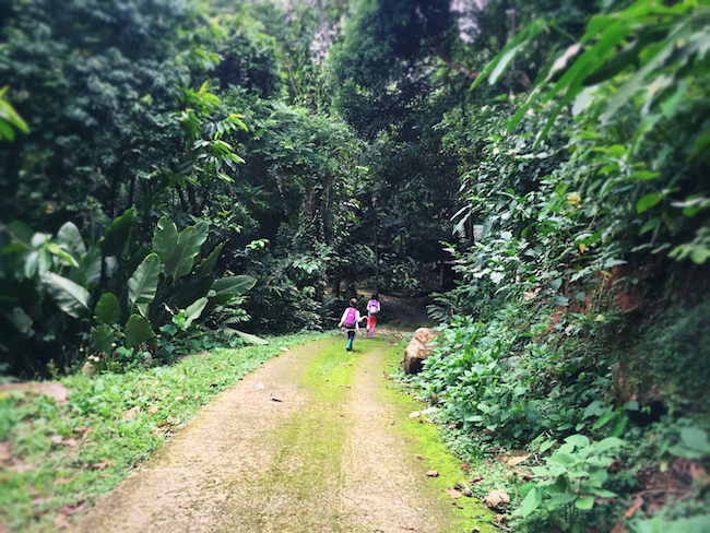 Hiking