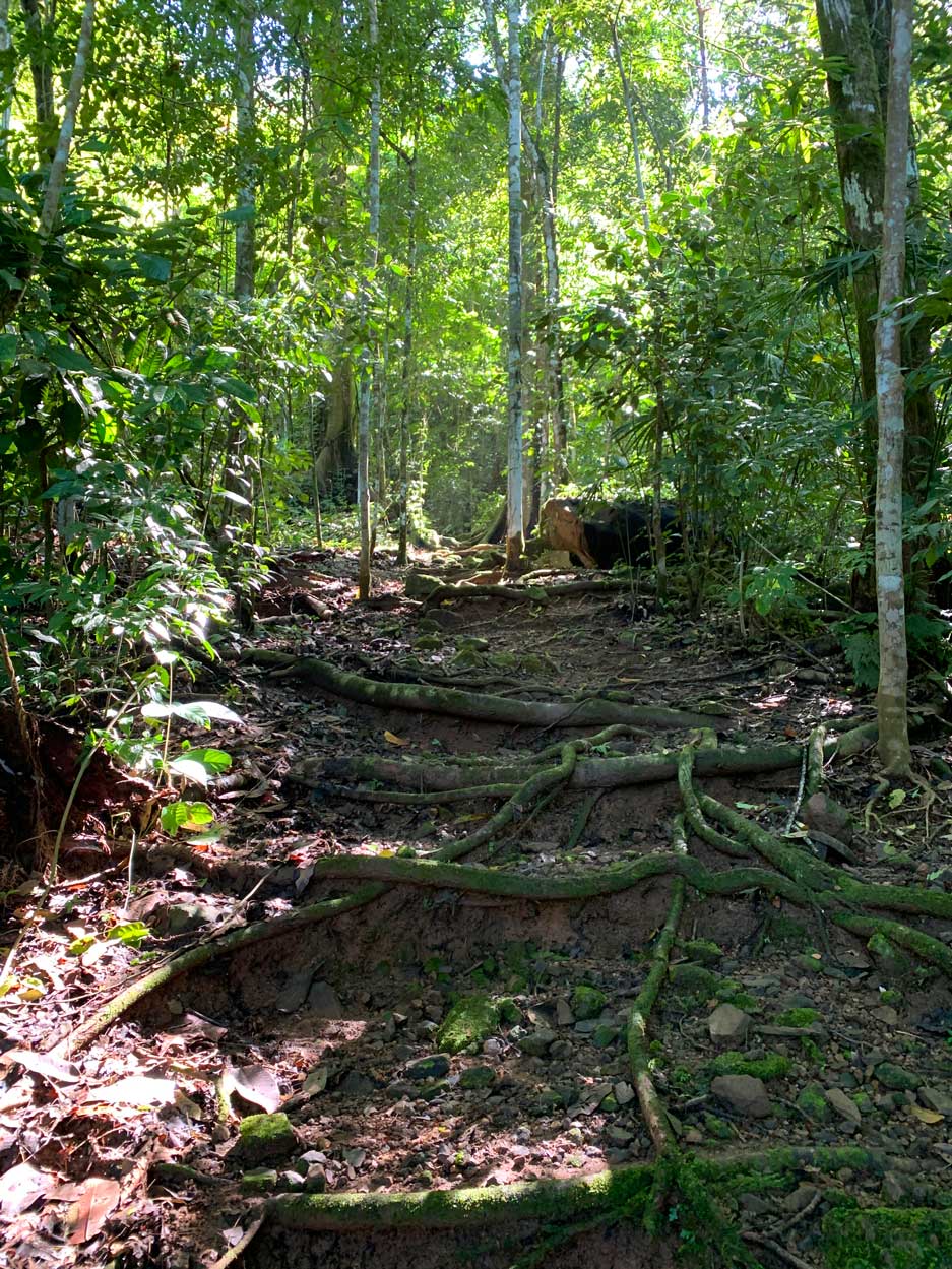 Hiking