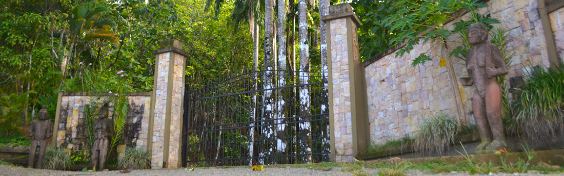 The Property
