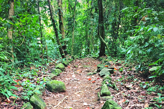 Hiking