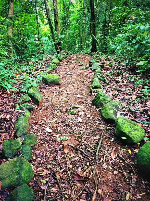 Hiking