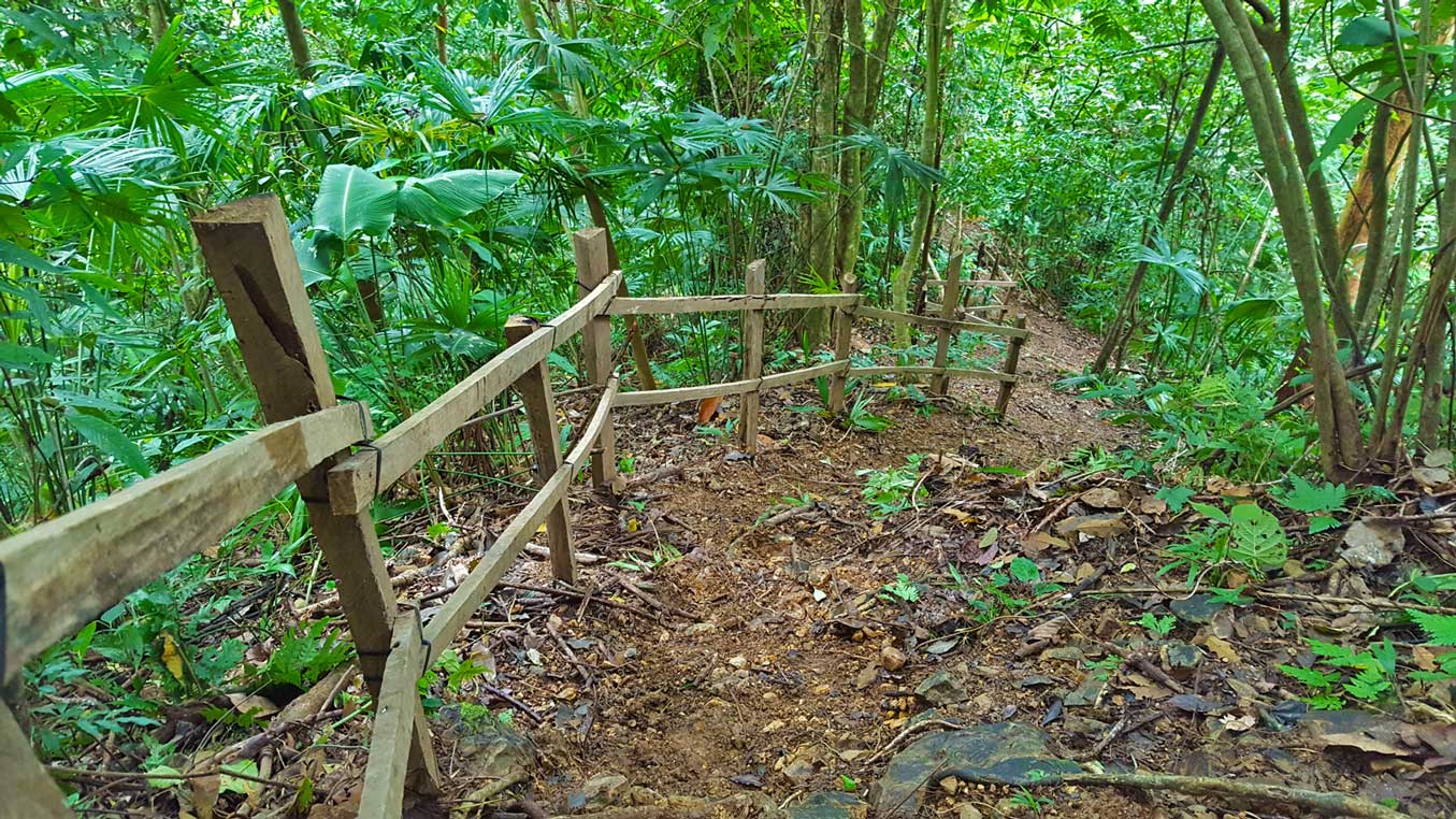 Hiking